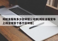 蚂蚁金服有多少区块链公司啊[蚂蚁金服宣布上线全球首个基于区块链]